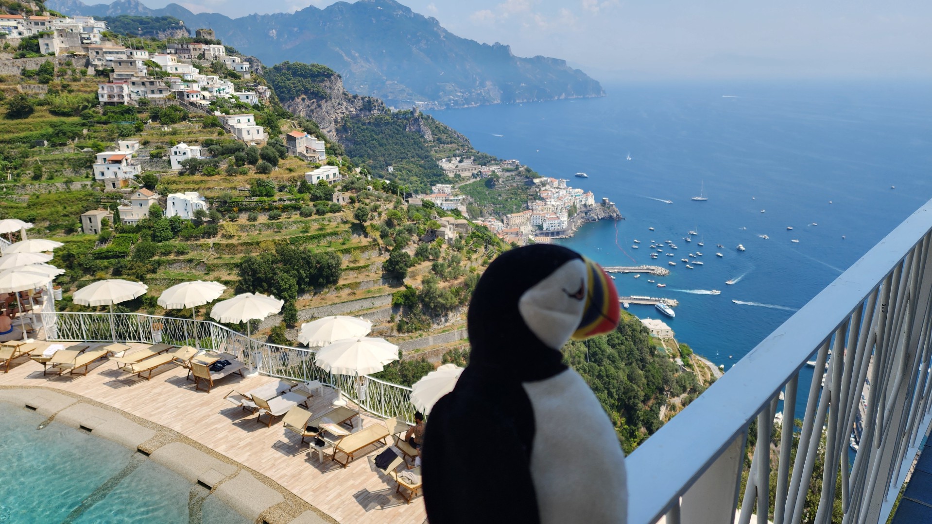 The travelling puffin on the balcony
