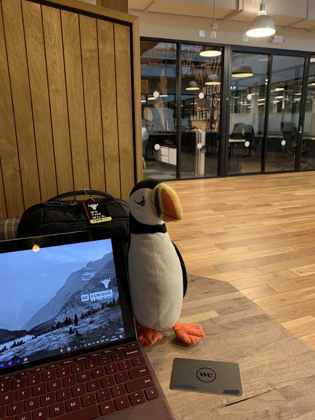 Sitting at a WeWork with the travelling puffin getting some work done with my Surface