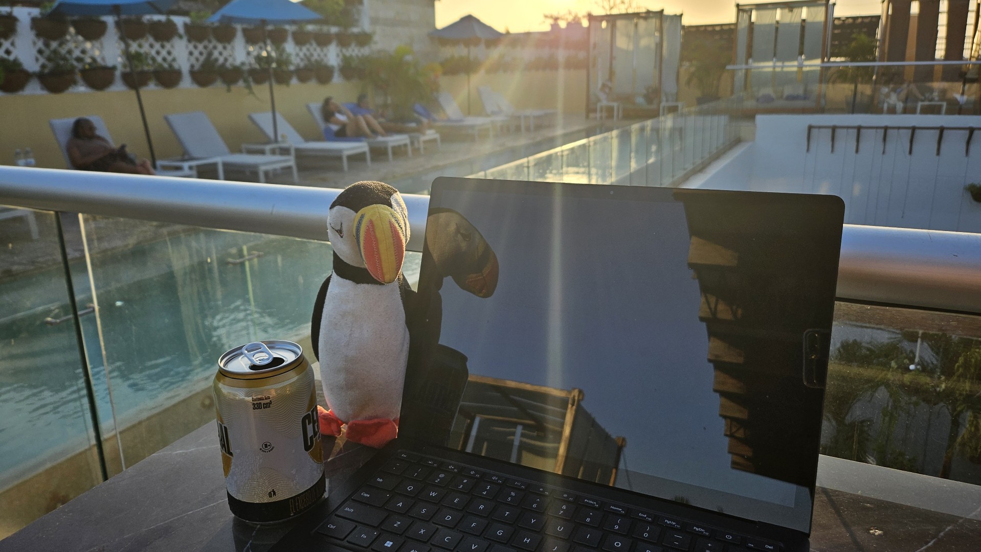 Poolside in Colombia getting work done with my Surface and the travelling puffin